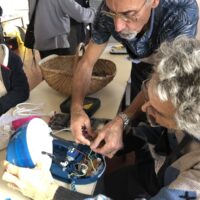 Novembre en petit comité mais en grande forme : 19,5 kg sauvés de la poubelle !